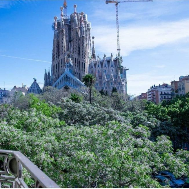 Comodidad y Conveniencia - Habitación en Sagrada Familia 600€